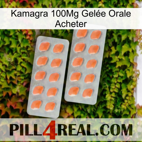 Kamagra 100Mg Gelée Orale Acheter 27